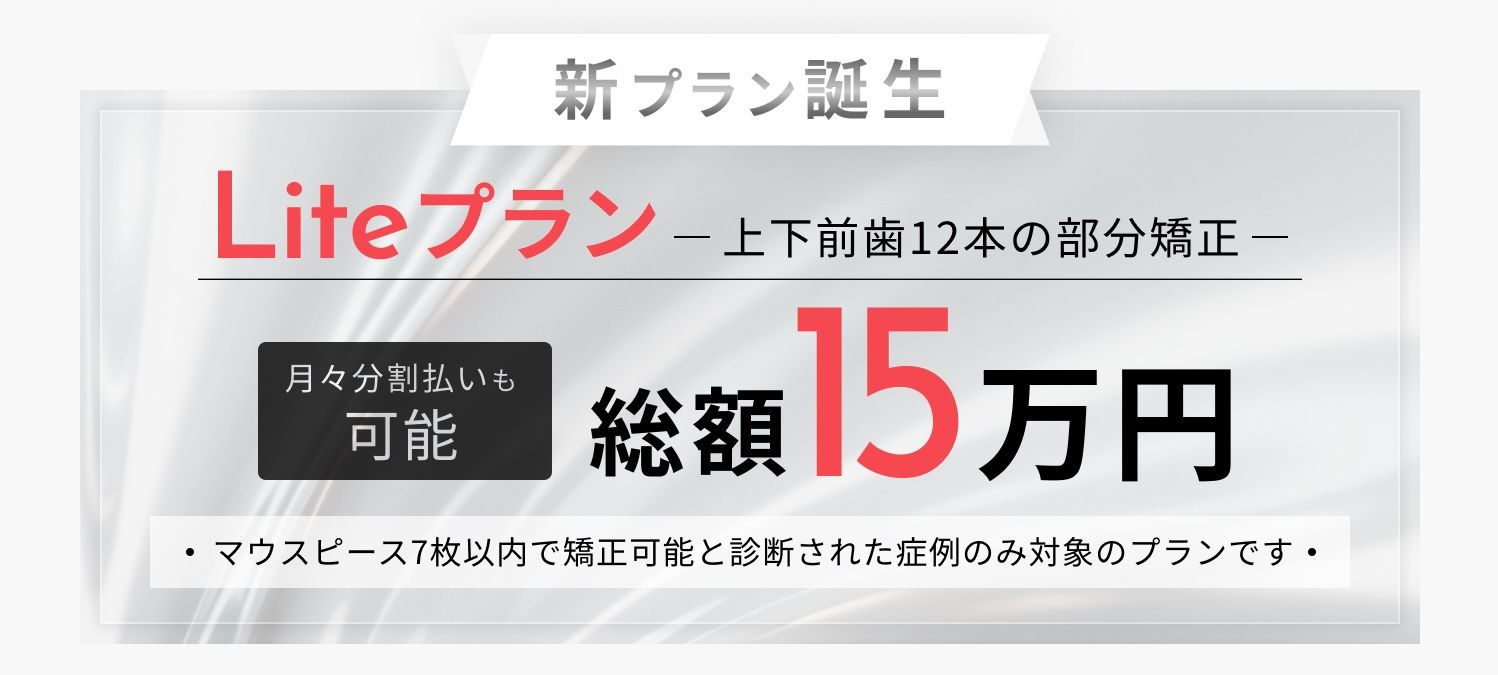 新プラン誕生、Liteプラン、総額15万円